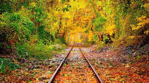 Autumn Foliage Leaf Rails Railroad Early Fall Hd Wallpaper Pxfuel