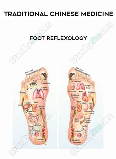 Traditional Chinese Medicine Foot Reflexology Sunlurn Bring