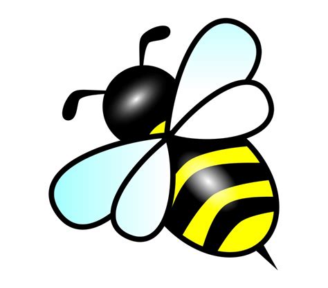 Download High Quality bumble bee clipart vector Transparent PNG Images