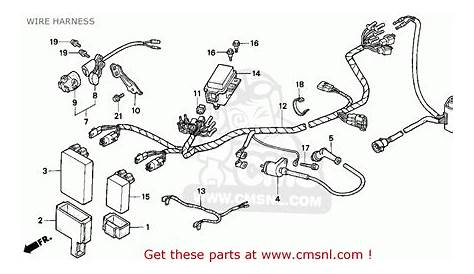 39 hammerhead go kart parts diagram - Wiring Diagrams Manual