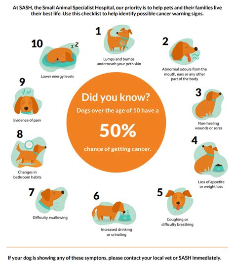 10 Early Warning Signs Of Cancer In Dogs Sash Vets