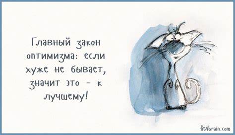 Веселые картинки диеты Весёлые картинки Весёлые картинки Веселые картинки диеты