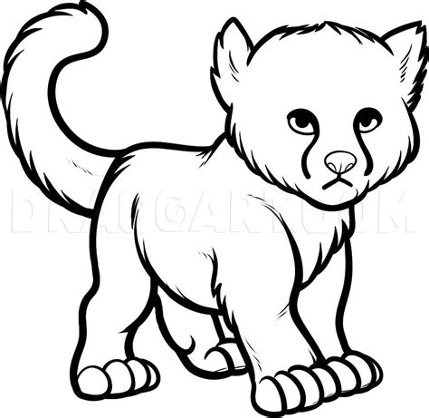How To Draw A Baby Cheetah Baby Cheetah Step By Step Drawing Guide
