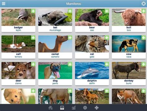 Wlingua App Android Gratuita Para Aprender Vocabulario De Inglés