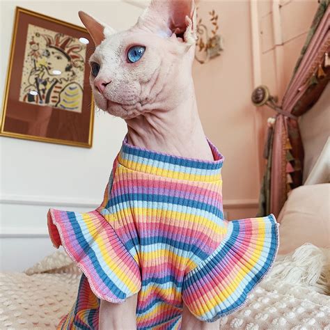 Colorful Cat Clothes Cat Dress Hairless Cat Clothes Sphynx Cat Etsy