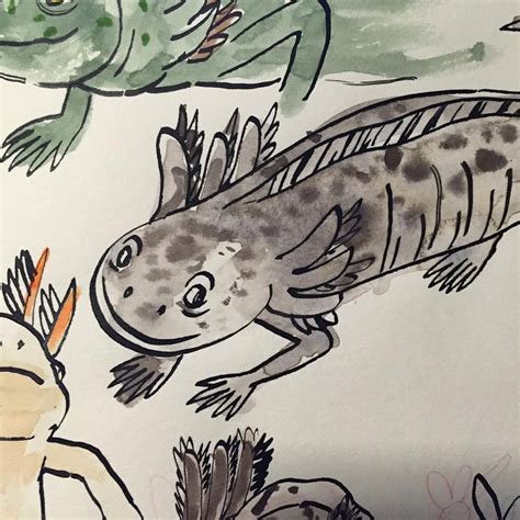 How to care for an axolotl: tim-parker | Illustration, Drawings, Amazing art