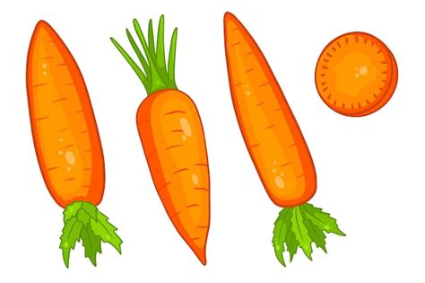 Premium Vector Carrot Set Fresh Carrots And Slices In A Cartoon