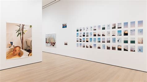 Photographer Wolfgang Tillmanss Moma Retrospective Is One Of The Year