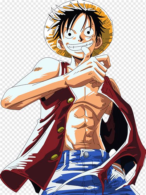 One Piece Character Illustration Monkey D Luffy Portgas D Ace One