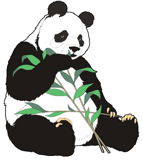 Panda Eating Bamboo Cliparts Clip Art Library