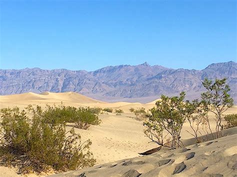 But we have also accumulated many amenities since 1998, and we surprise our guests with the extent of our facilities. 11 Essential Tips for RV Camping in National Parks - RVBlogger