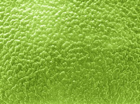 Green Glass Texture Seamless