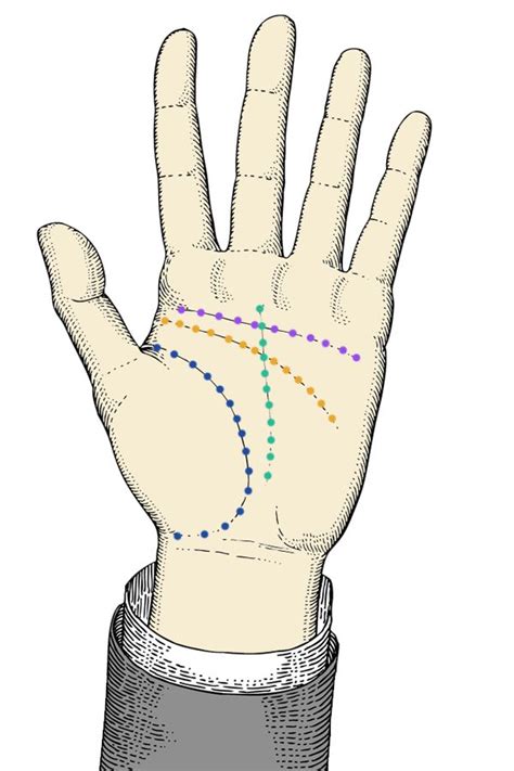 Stay with us at onehowto to learn how to read palm lines with this beginners'. Guide: How to read your palms | Wishing Moon