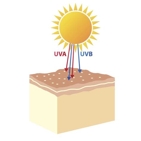 Radiación Ultravioleta Definición Tipos Características Y Más
