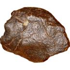 Volker heinrich meteoriten faszinieren wissenschaftler seit langem. Chondrite: Steinmeteoriten der Klasse Chondrit kaufen ...