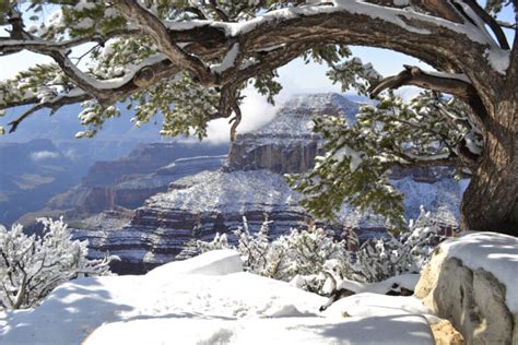The Ultimate Guide To Visiting The Grand Canyon In Winter Follow Me Away