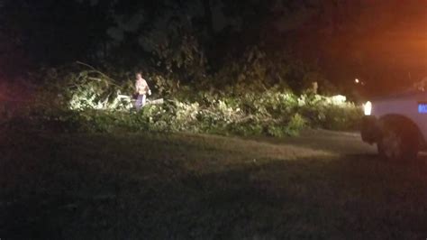 All Lanes Of 17 Bypass Reopen In Horry County After Tree Blocks Road