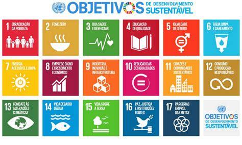 Objetivos De Desenvolvimento Sustent Vel Das Na Es Unidas Bidos Hub