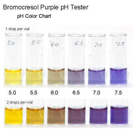 Get some color inspiration with color hunt's purple palettes collection and find the perfect scheme for your design or art project. Bromocresol Purple pH Tester