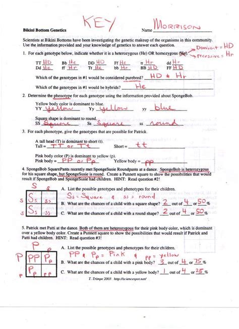 Answer each of the following questions using a punnett square and the rules of monohybrid crosses. Genetics Practice Problems Worksheet Answer Key ...