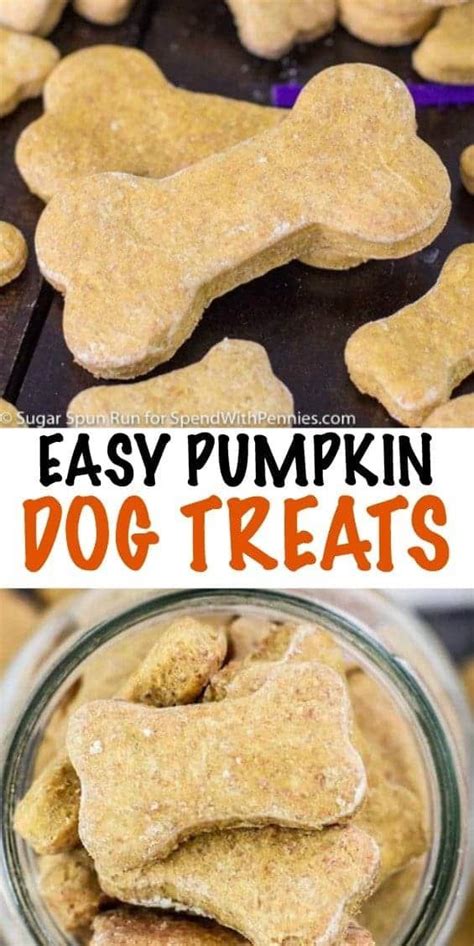Pumpkin Dog Treat Recipe Spend With Pennies Dog Biscuit Recipes