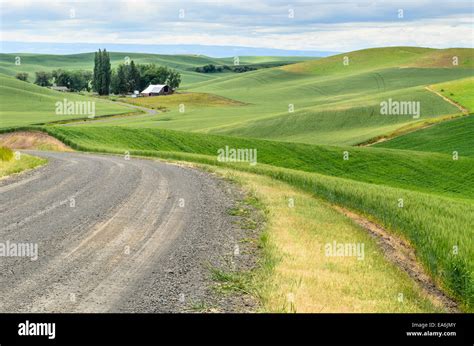 Usa Washington State Palouse Scenic Countryside Stock Photo Royalty