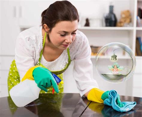 What Should A Cleaning Lady Do What To Expect From A Professional House Cleaner — Seattle Green