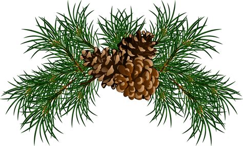 Pine Cone Png Image Purepng Free Transparent Cc Png Image Library