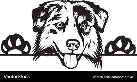 Aussie Svg Dog Clipart Australian Shepherd Vector Graphic Art Australia