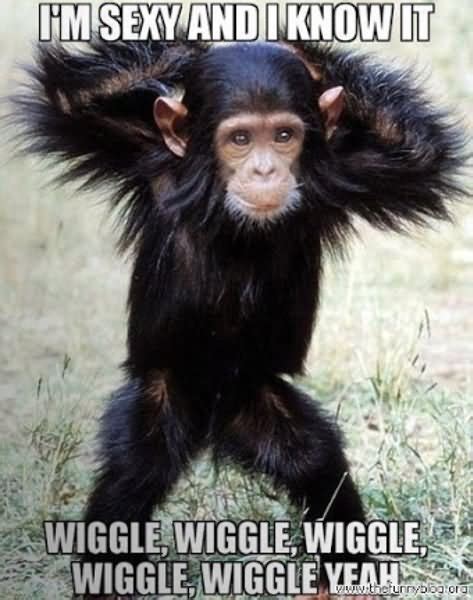 45 Very Funny Monkey Meme Images S Photos And Pictures