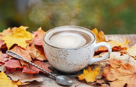 Wallpaper Autumn Leaves Wood Autumn Leaves Coffee Cup A Cup Of
