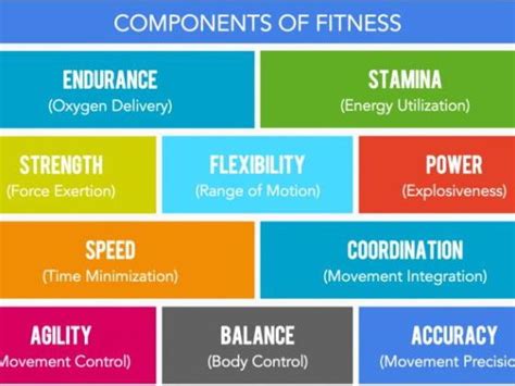 Components Of Fitness 412 Plays Quizizz