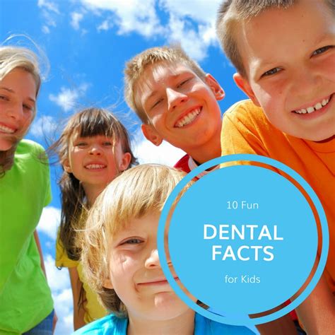 10 Fun Dental Facts For Kids Potomac Pediatric Dentistry