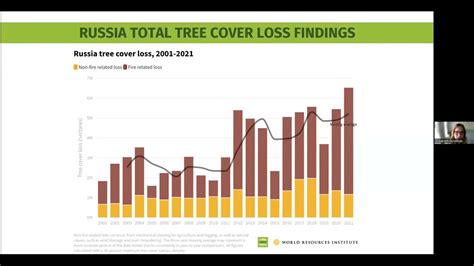 What Happened To The Worlds Forests In 2021 Youtube