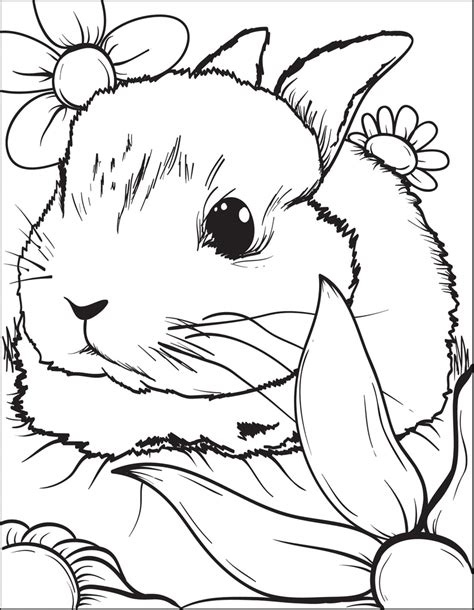 Printable Bunny Rabbit Coloring Page For Kids 3 Supplyme