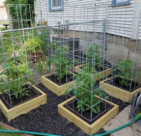 55 Favorite Garden Boxes Raised Design Ideas 54 Tomato Garden