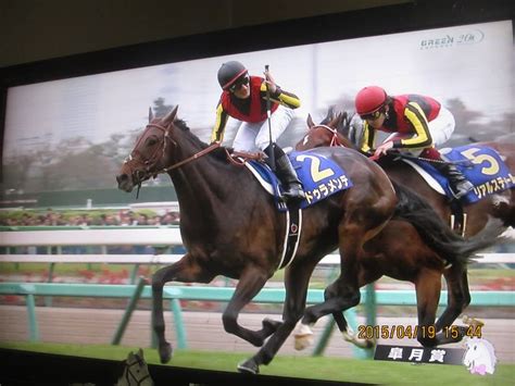 ドゥラメンテ (duramente) は、日本の競走馬。馬名はイタリア語の duramente （荒々しく、はっきりと）という音楽用語に由来する。 2015年に皐月賞、日本ダービーの二冠を制し、jra賞最優秀3歳牡馬に選出された。 皐月賞制覇 ドゥラメンテ! - 森信雄の写真あれこれ
