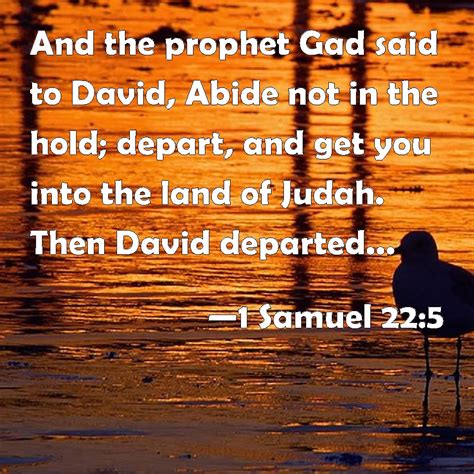 1 Samuel 225 And The Prophet Gad Said To David Abide Not In The Hold