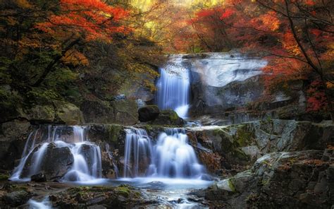 nature, Landscape, Fall, Waterfall, Colorful, Forest, Leaves, Moss, Trees Wallpapers HD ...