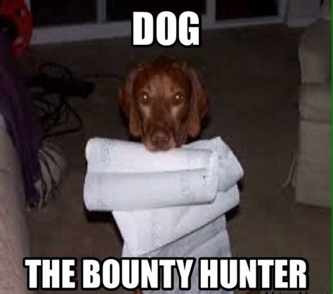 Collect The Lovely Funny Dog The Bounty Hunter Memes Hilarious Pets