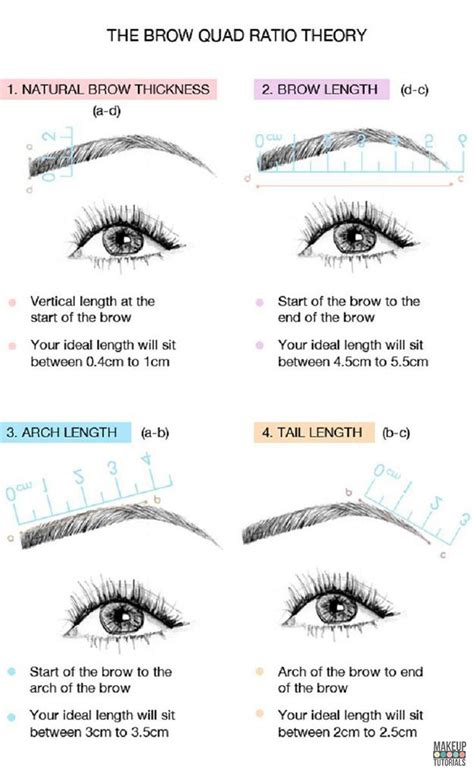 How To Shape Perfect Eyebrows Makeup Tutorials