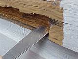 Wood Siding Repair Images