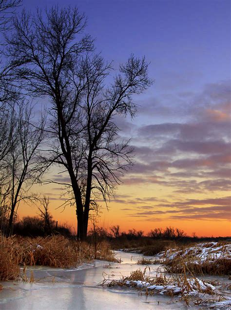 Winters Warmth Photograph By Michael Wessel Fine Art America