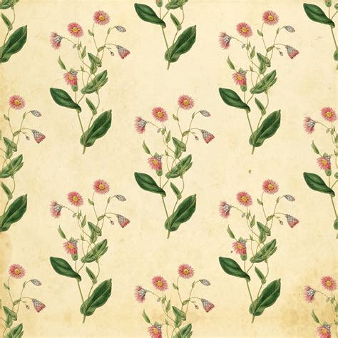 Floral Vintage Wallpaper Background Free Stock Photo Public Domain