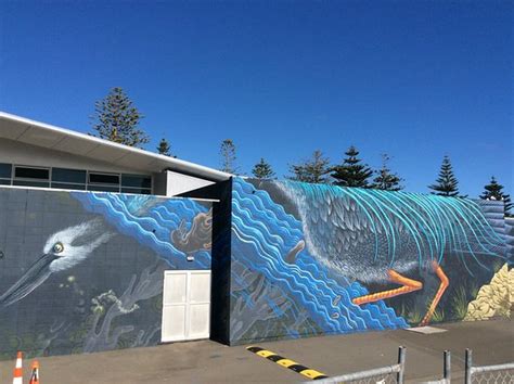 National Aquarium Of New Zealand Napier 2019 Ce Quil Faut Savoir