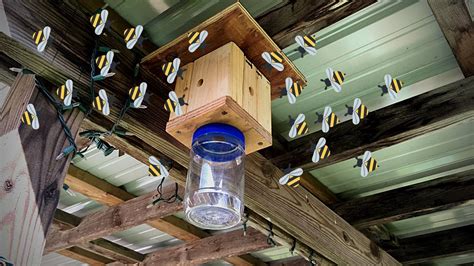 The Best Diy Carpenter Bee Trap 🐝🐝🐝 Youtube