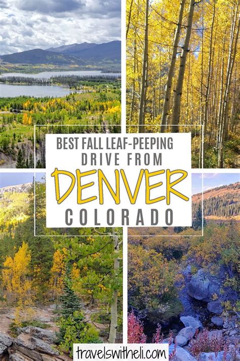 Best Fall Leaf Peeping Drive From Denver Colorado Day Trips From