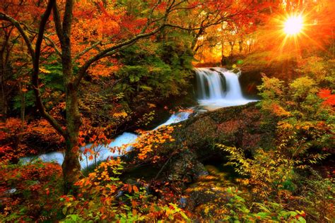 Wonderful Pictures Of Autumn