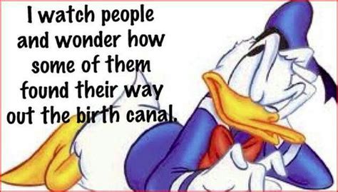 Donald Duck Quotes