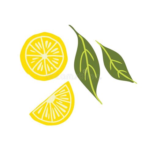 Lemon Slice Exotic Tropical Yellow Citrus Fresh Fruit Slice Juicy